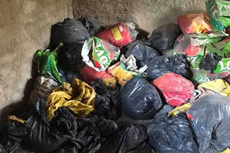 Dono de chácara armazenava restos mortais de cães em sacos e freezers, em Brazlândia, DF