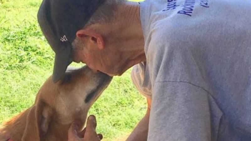 Homem usa seus últimos dias de vida para encontrar famílias para seus 11 cachorros