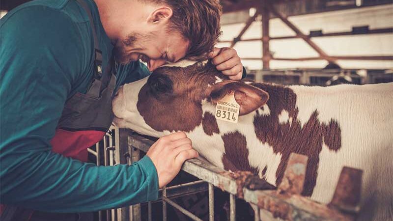 10 incríveis histórias de transformação vegana de trabalhadores de matadouros e criadores de animais