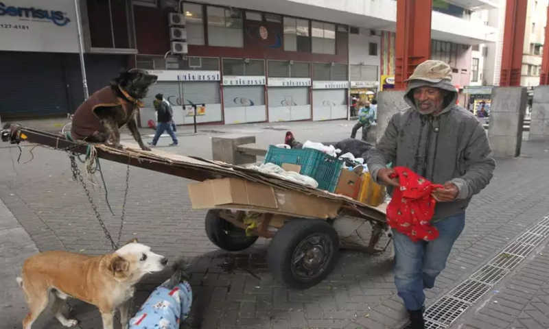 Frio em BH: homem em situação de rua agasalha cachorros