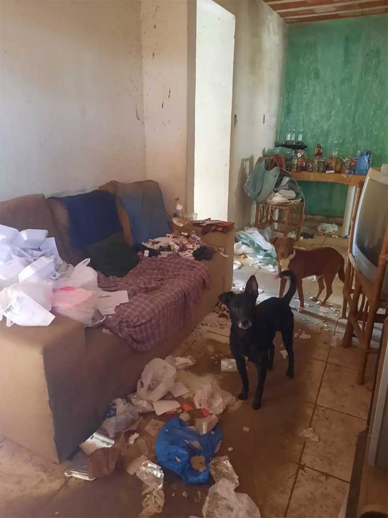 Homem é preso por maus-tratos a animais e 3 cães são resgatados em Ubá, MG