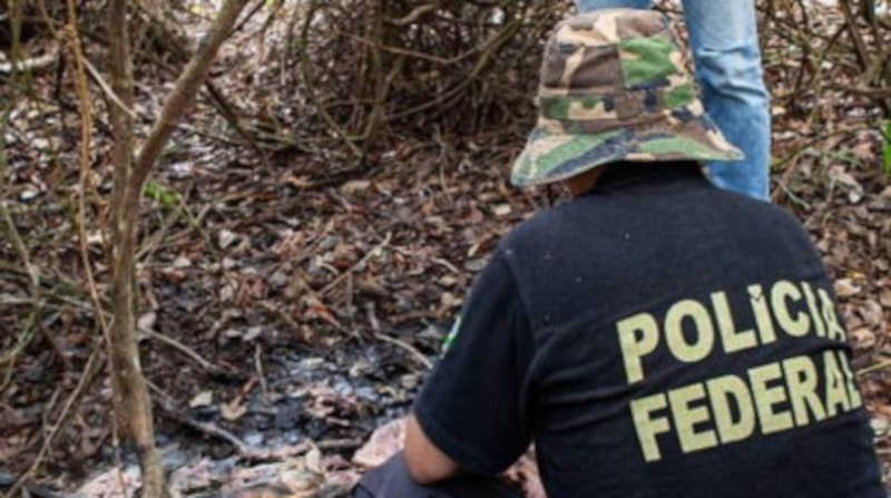 Morte de onças envenenadas no Pantanal leva PF a indiciar três suspeitos