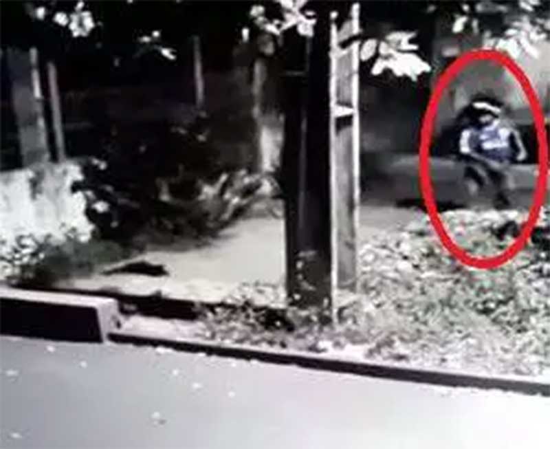 Do nada, motociclista atira pedra em gatinho deitado na calçada, em Campo Grande, MS