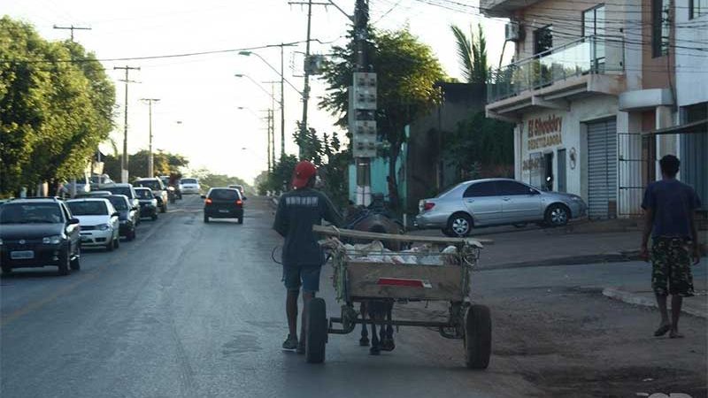 Prefeito de Cuiabá (MT) quer proibir uso de charretes no perímetro urbano