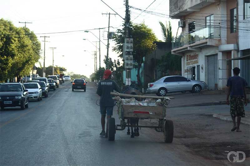Prefeito de Cuiabá (MT) quer proibir uso de charretes no perímetro urbano