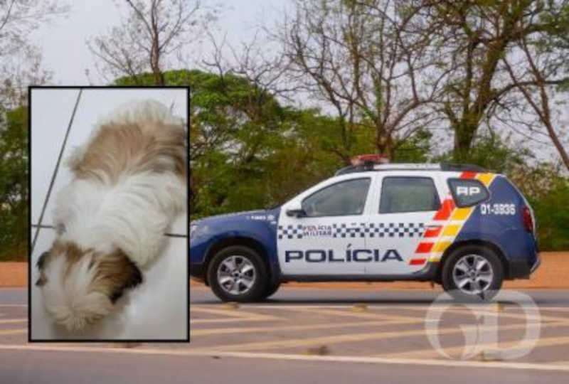 Pai mata o cachorro da filha a pauladas e avó chama a Polícia Militar em casa de Várzea Grande, MT