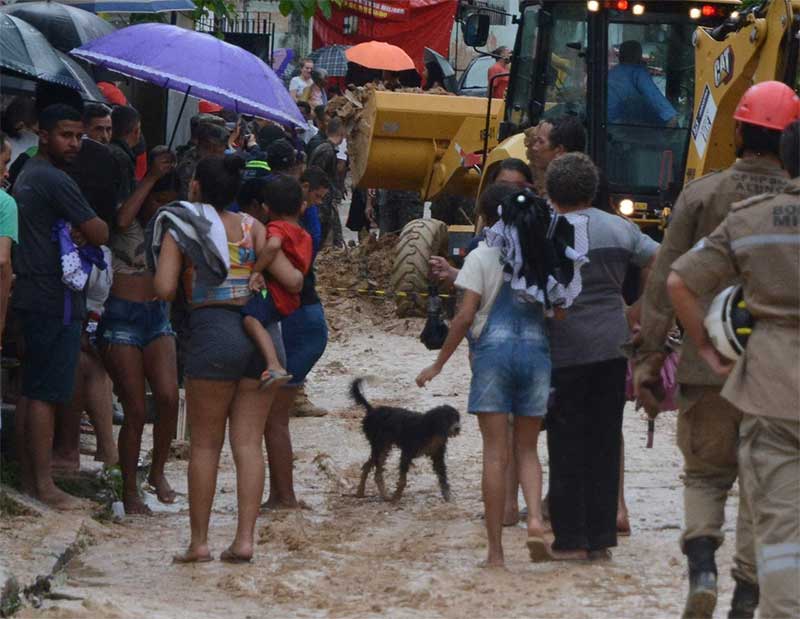 Cachorro em meio a pessoas que aguardam medidas de socorro por conta das chuvas em Pernambuco