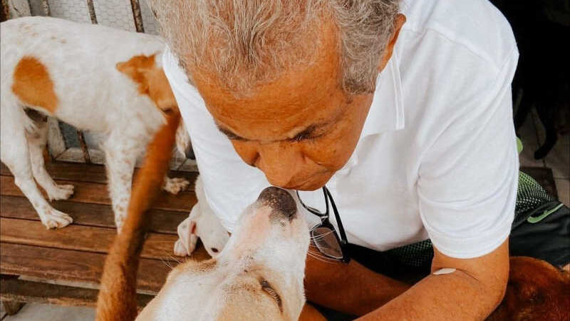 Abrigo de cães Seu Alberto - Reprodução / Instagram