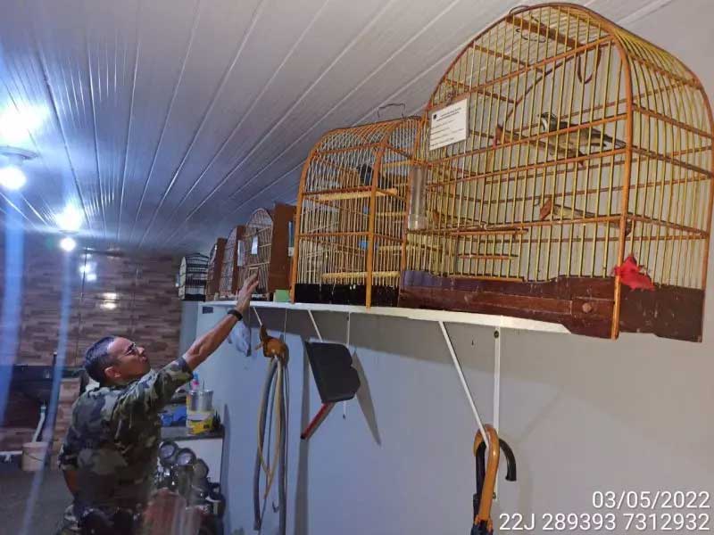 Polícia Ambiental prende uma pessoa e apreende 33 aves no PR; multas somam R$ 98 mil