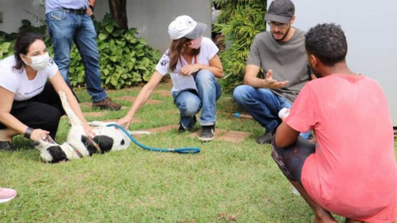 Prefeitura de Londrina (PR) orienta pessoas em situação de rua sobre cuidados com animais de estimação