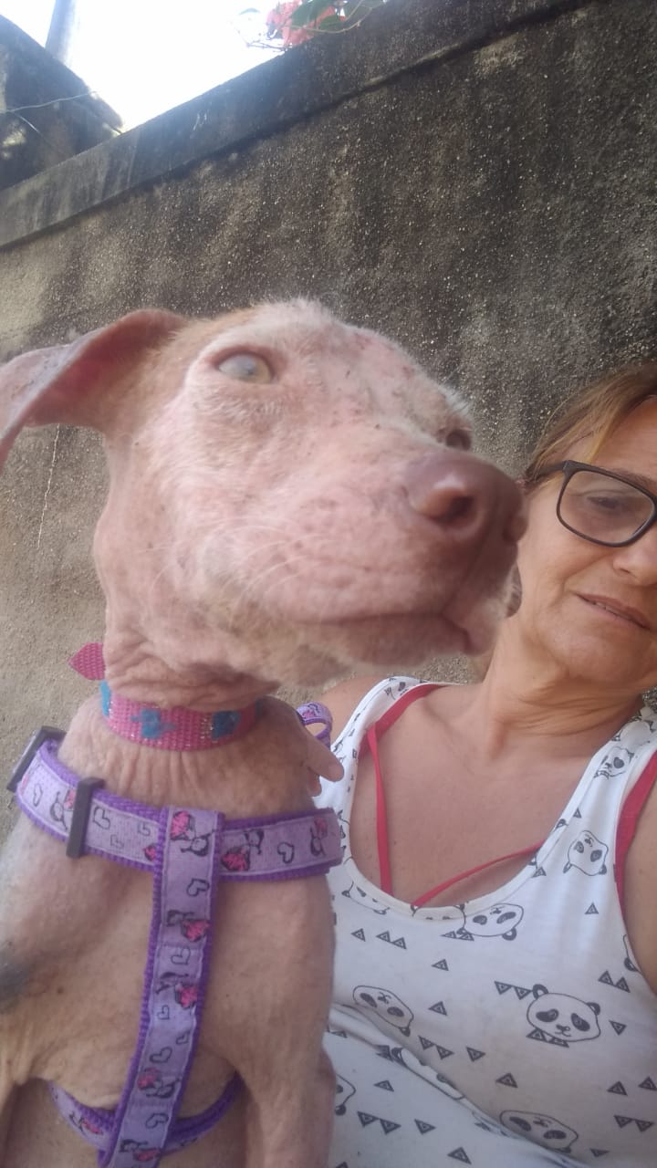 Imagens fortes: protetora faz campanha para ajudar cachorro abandonado em São Gonçalo, RJ