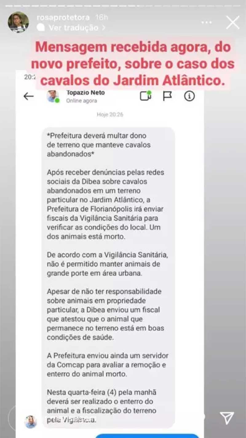 O prefeito de Florianópolis entrou em contato com a protetora para explicar a situação – Foto: Internet/Reprodução/ND