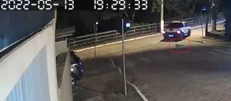 Câmera flagra cachorro sendo arrastado por carro em Morro da Fumaça, SC