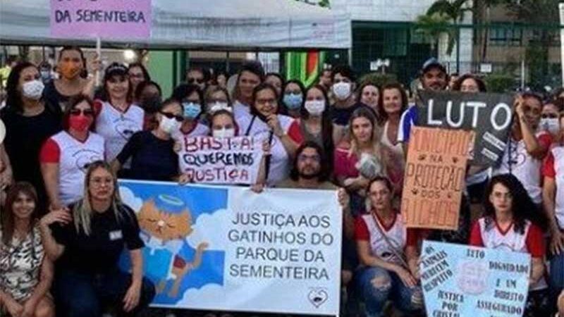 Morte de gatos no Parque da Sementeira, em Aracaju, SE: populares, políticos e entidades se reúnem em protesto