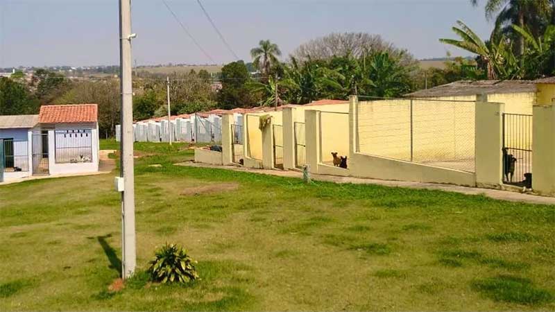 ONG em Itapetininga tem uma estrutura com capacidade de abrigar 260 animais — Foto: Uipa/Divulgação