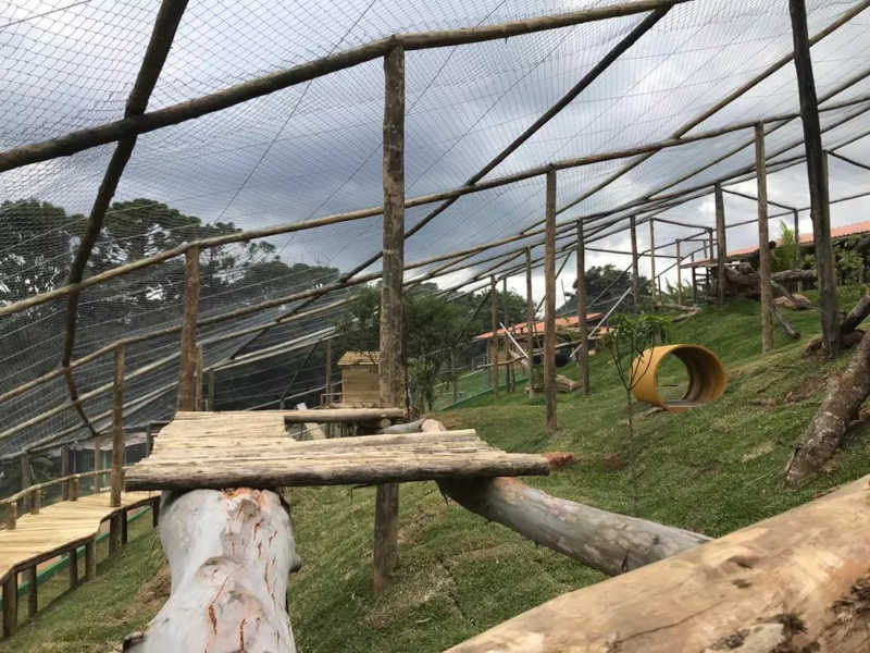 Santuário construiu um recinto especialmente para receber Juco — Foto: Divulgação