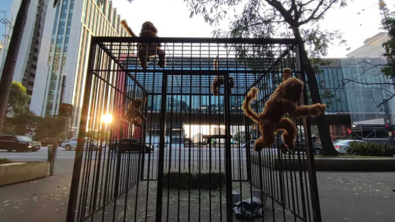 Artista instala gaiolas na Av. Paulista para alertar sobre a crueldade com animais — Foto: Anselmo Caparica/TV Globo