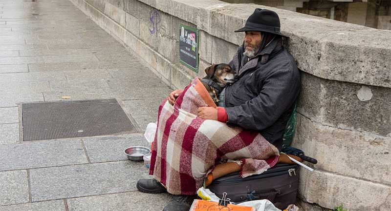 “Não vou abandonar”: Moradores de rua rejeitam ir a abrigos sem seus cães