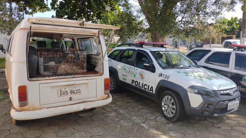Canil clandestino e fechado em Tatuí — Foto: Prefeitura de Tatuí/ Divulgação