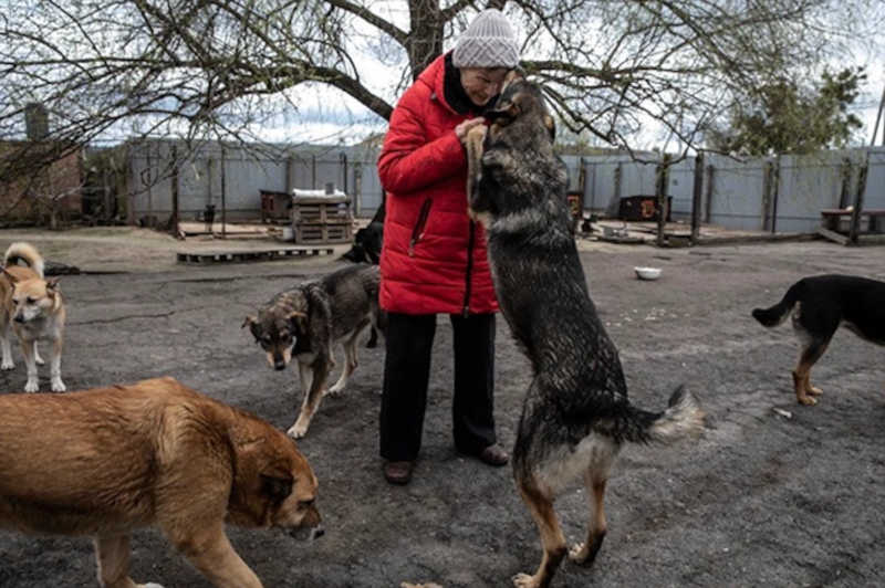 Mesmo durante a invasão, a ucraniana de 77 anos seguiu resgatando e cuidando de animais