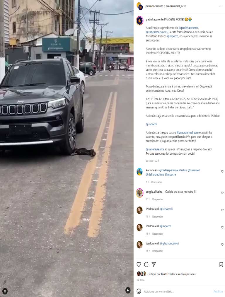 Vídeo mostra momento em que motorista atropela cão em Rio Branco, AC; ONG denuncia caso por maus-tratos