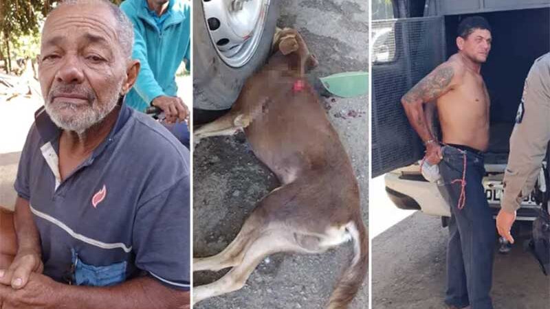 Perversidade: Homem mata cão de cadeirante e causa revolta em Xapuri, AC