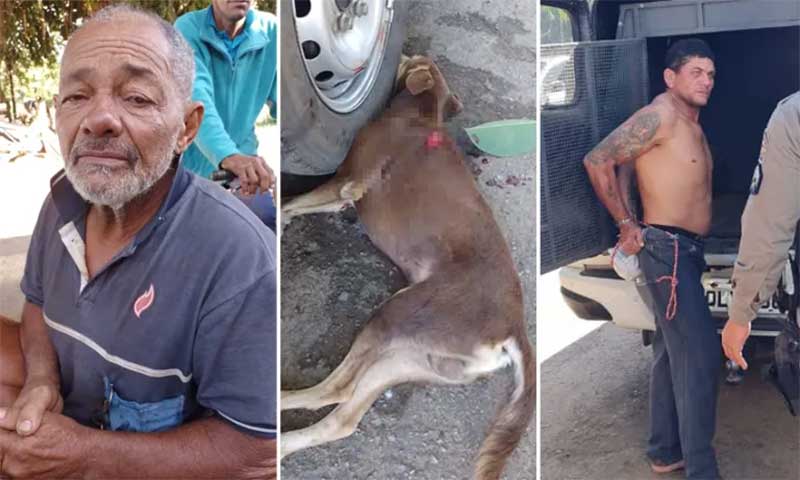 Perversidade: homem mata cão de cadeirante e causa revolta em Xapuri, AC