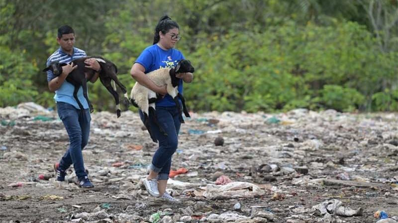 Mais de 30 animais são resgatados de condições precárias no Tarumã, em Manaus, AM