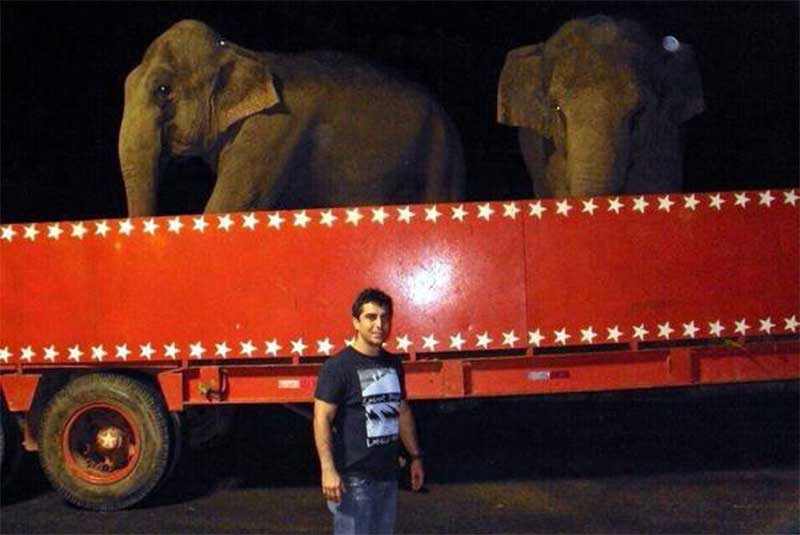 Resgate dos elefantes do circo Portugal completa 12 anos: “Conquista histórica”
