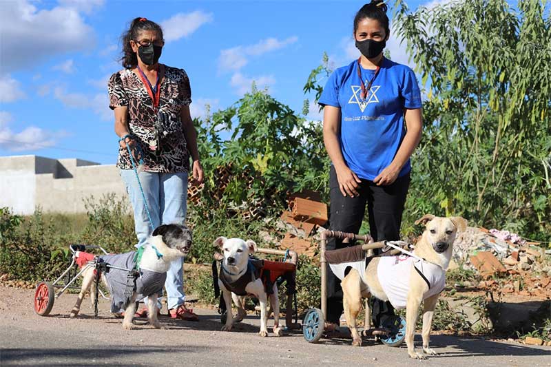 Esquadrão Falcão lança campanha do agasalho para animais em Vitória da Conquista, BA