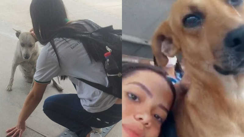 Estudante alimenta cães no Terminal da Messejana (CE) e vídeo viraliza: ‘Não fazem mal a ninguém’