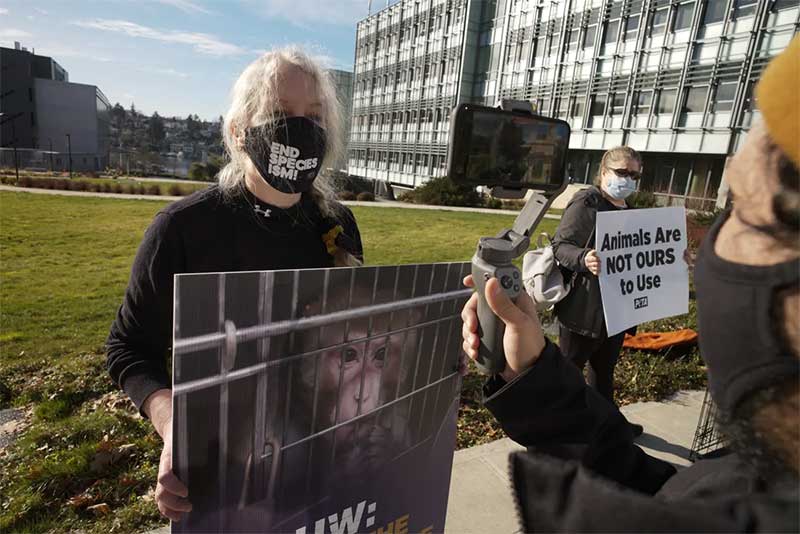 Lisa Jones-Engel em um dos seus primeiros protestos pela Peta, no campus da Universidade de Washington perto do prédio que abriga o laboratório de pesquisa em animais. Fotografia: Lynn Johnson.