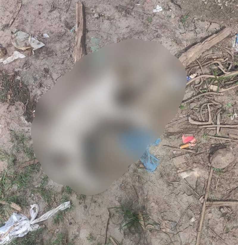 Polícia prende suspeito de matar e torturar cães em Bacabal, MA