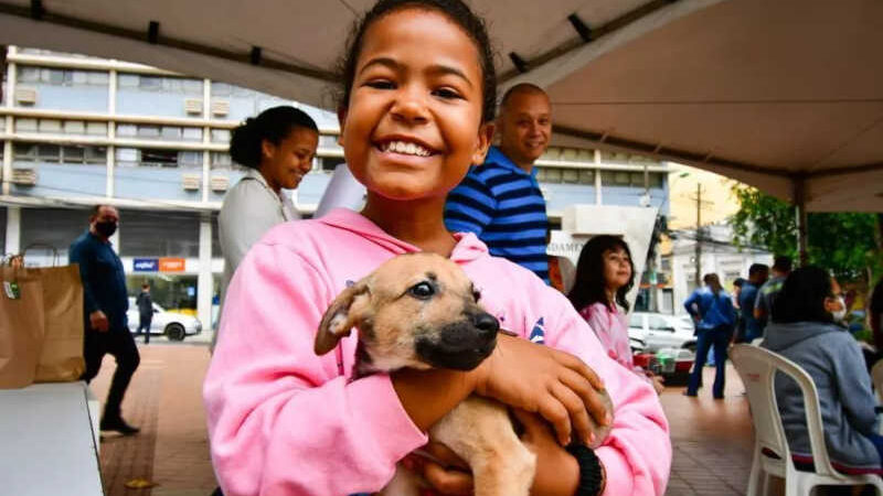 Todos os animais disponibilizados foram adotados em feira em Cuiabá — Foto: Davi Valle