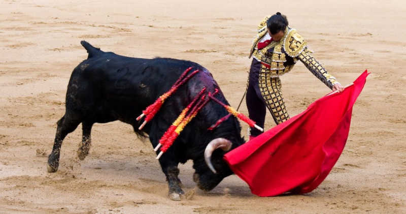 Em decisão histórica, Justiça do México proíbe touradas: ‘Fim do abate de animais inocentes’