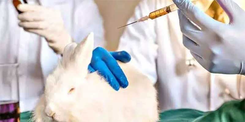 Alepa mantém veto parcial à PL que proíbe testes em animais para produção de cosméticos