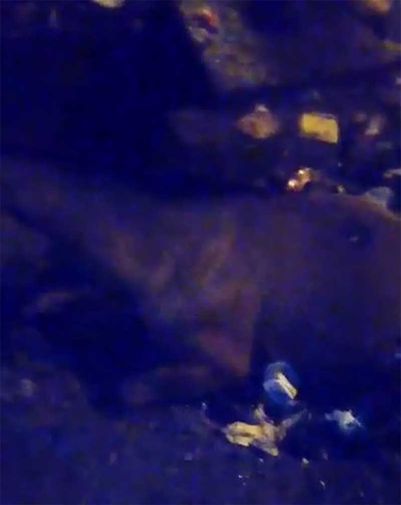Cavalo caiu no bueiro, em Jaboatão, durante a madrugada deste domingo (12) — Foto: Reprodução/WhatsApp
