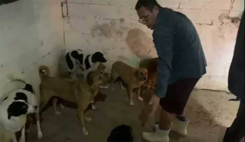 Equipe resgata 12 cães que estavam em canil quase soterrado pela lama em Recife, PE