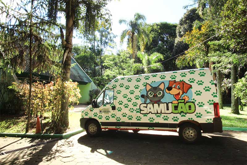 Por falta de documentos de hospital veterinário, Samucão está com atendimentos suspensos em Cascavel, PR