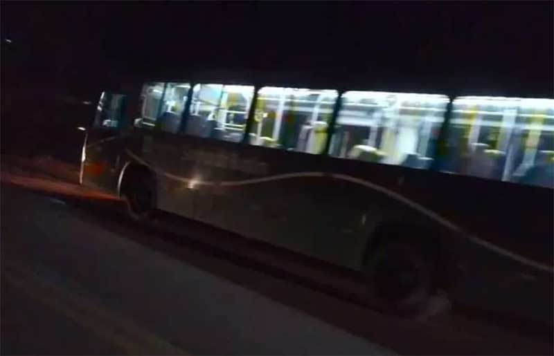 Boi foi parar na Rio-Santos e acabou atropelado por um ônibus — Foto: Reprodução/Redes sociais