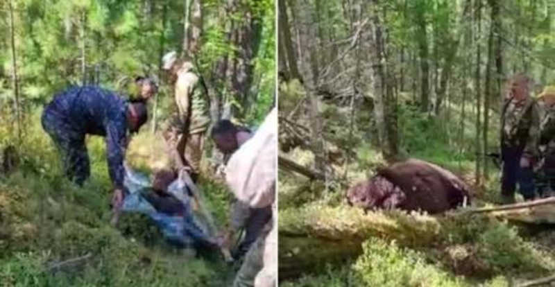 Equipe de busca acha corpos de caçador e de urso Foto: Reprodução