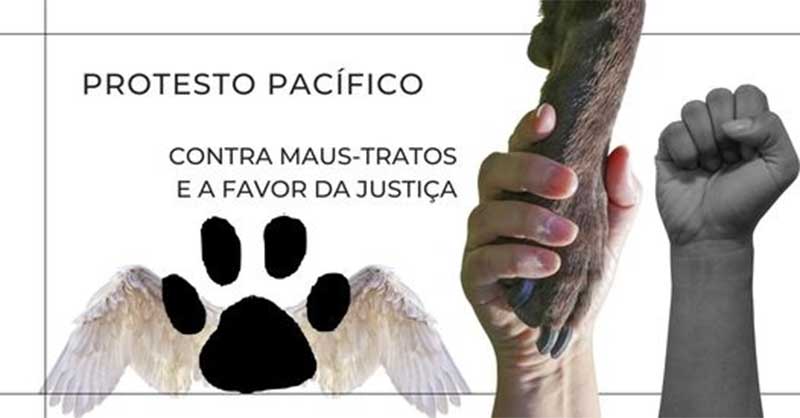 Após morte brutal de cachorro, ONG Ame Bicho organiza protesto em Maravilha, SC