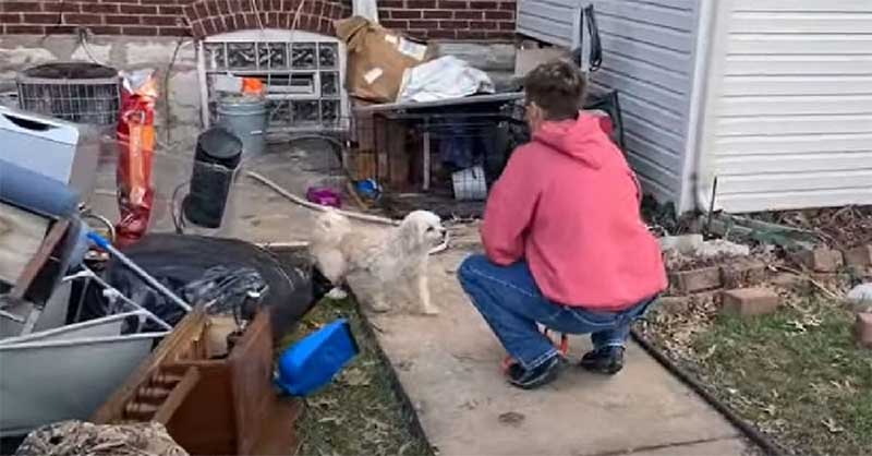 Cachorros deixados para trás durante despejo se recusam a sair da casa