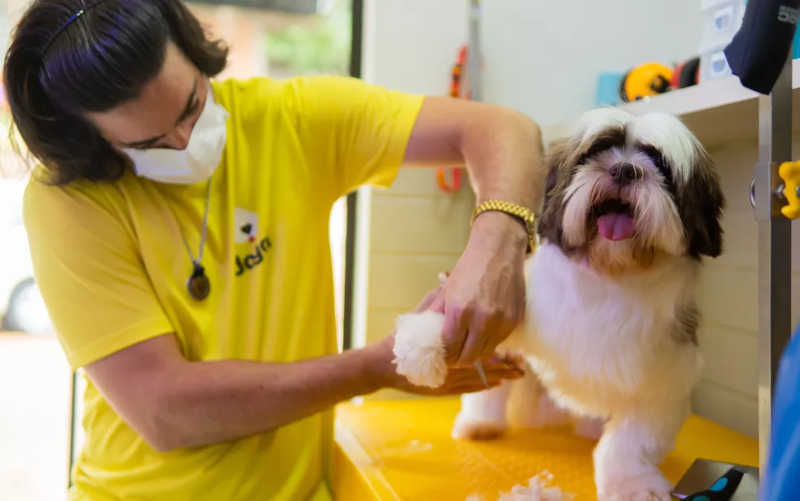 Licença 'peternidade' é de dois dias para funcionário que adotar animais em Ribeirão Preto, SP — Foto: Nicollas de Oliveira