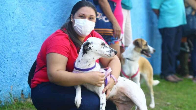 Em quatro anos, São José dos Campos (SP) castra mais de 17 mil animais; confira como se inscrever
