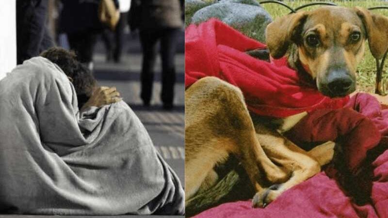 ONG arrecada R$ 17 mil e ajuda moradores e animais de rua no inverno, em SP