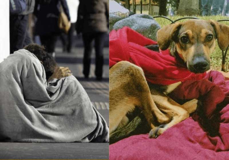 ONG arrecada R$ 17 mil e ajuda moradores e animais de rua no inverno, em SP