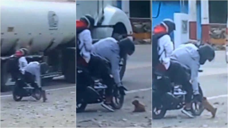 Motociclista interrompe viagem para salvar cachorrinho abandonado na estrada; assista