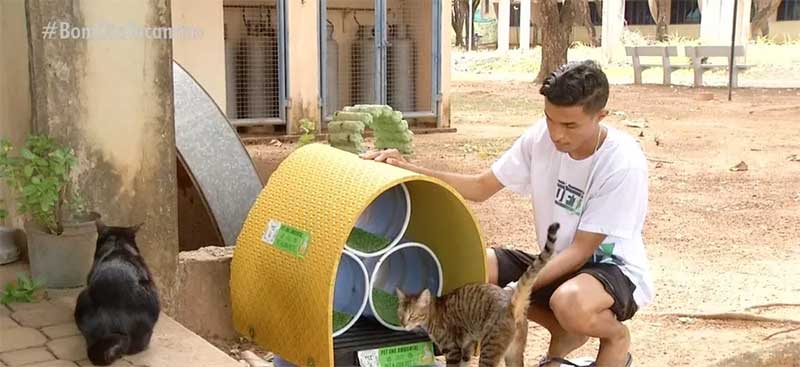 Estudantes da UFT fazem casinha para gatos do campus Palmas — Foto: Reprodução/TV Anhanguera