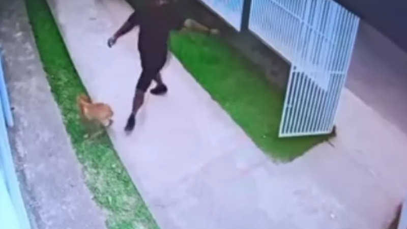 Vídeo flagra homem chutando cachorro após sair de unidade de saúde em Rio Branco — Foto: Reprodução
